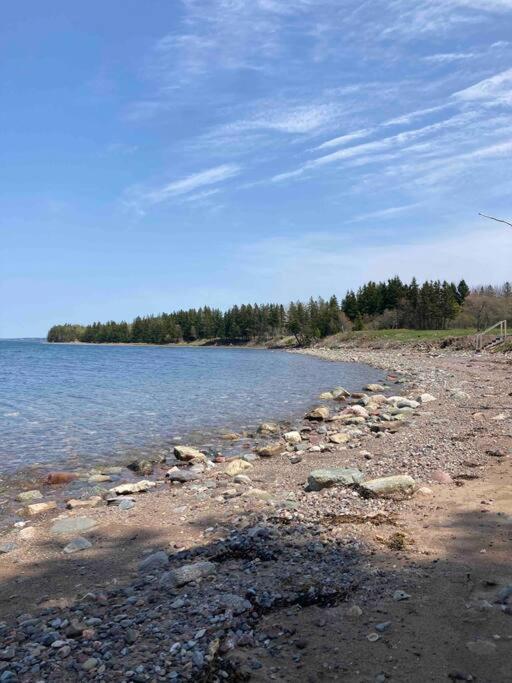 Sea Cliff Cottage Edwardsville Экстерьер фото